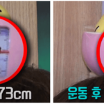 1분 만에 2cm 키크는 운동 방법