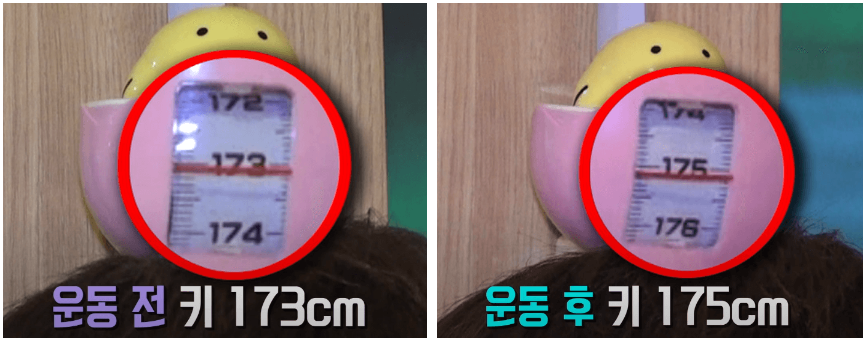 1분 만에 2cm 키크는 운동 방법