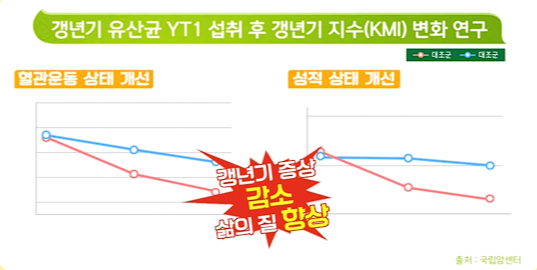 갱년기 유산균 YT1 효능 부작용 먹어야 하는 이유 정리