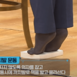 종아리 근육 운동 뒤꿈치 들기 효과와 방법