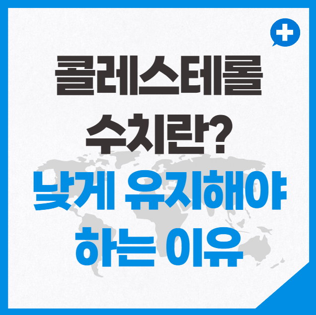 콜레스테롤 수치