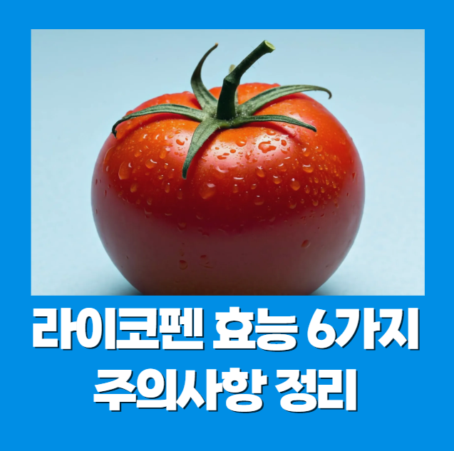 라이코펜 효능 6가지와 주의사항 정리