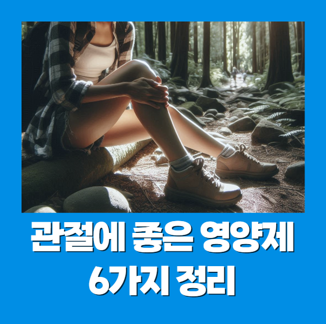 관절에 좋은 영양제 6가지 정리