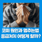 코피 원인과 멈추는법 응급처치 어떻게 할까?