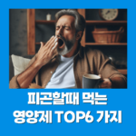 피곤할때 먹는 영양제 TOP6 가지