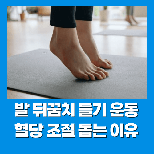 발 뒤꿈치 들기 운동이 혈당 조절 돕는 이유