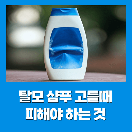 탈모 샴푸 고를때 피해야 하는 것