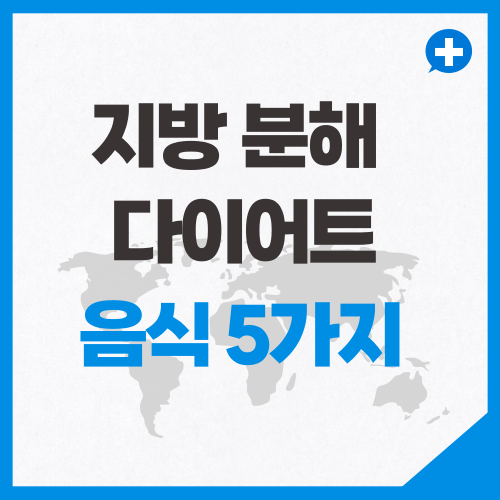 지방 분해 음식 5가지 다이어트